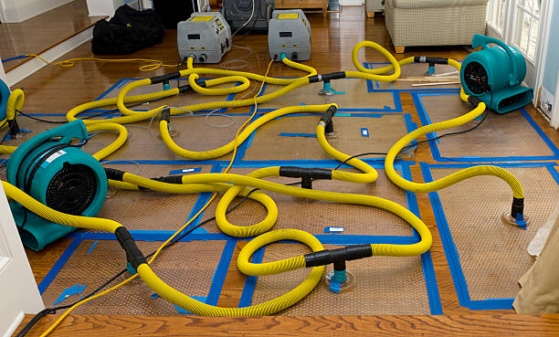 Professional Basement Flood Cleanup technician working in Alton Bay, NH